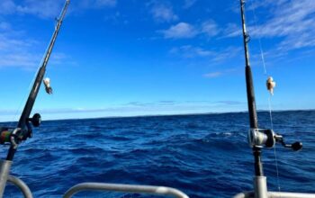 fishing-charters-moreton-bay