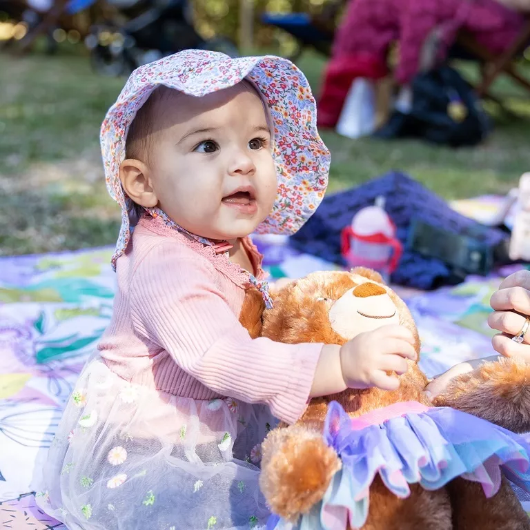 Teddy Bears Picnic Moreton Bay