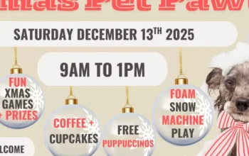 The Great Dayboro Xmas Pet Pawty