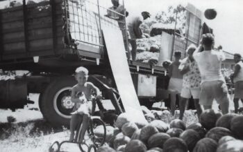 Harvest Exhibition Moreton Bay