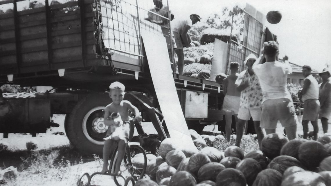 Harvest Exhibition Moreton Bay