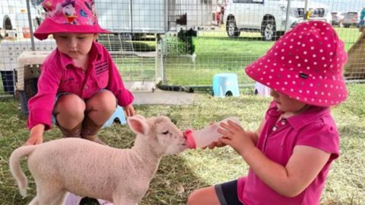 Farmyard fun day at Redcliffe Museum