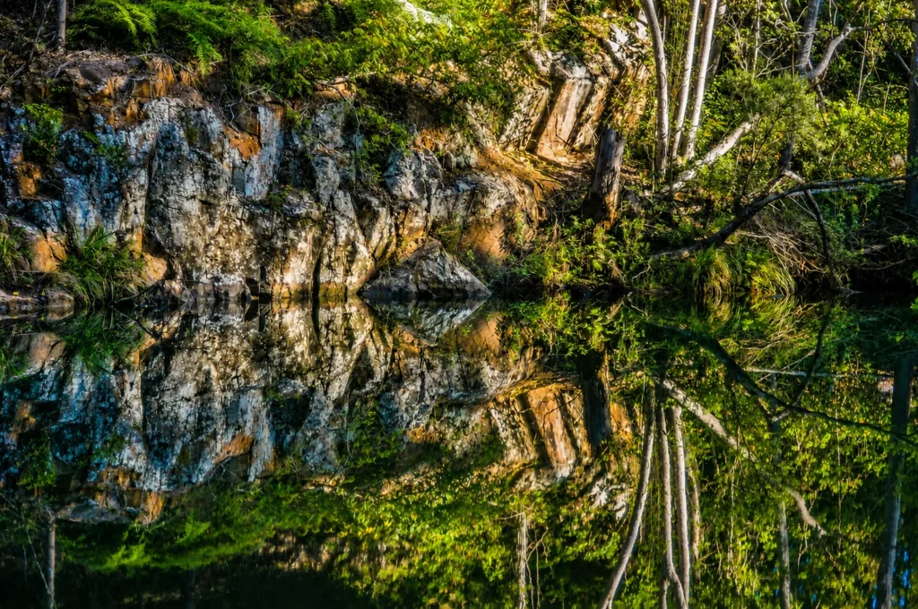 D'Aguilar National Park