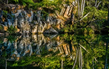 D'Aguilar National Park
