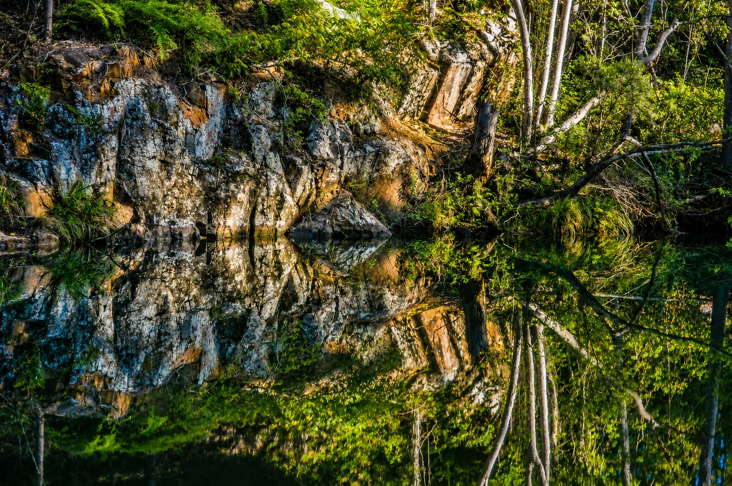 D'Aguilar National Park