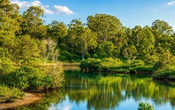 Things to Do in North Pine River